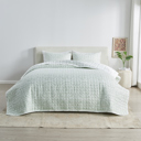 Queen Eucalyptus Floral Floral Inspired Reversible Quilt and Sham Set