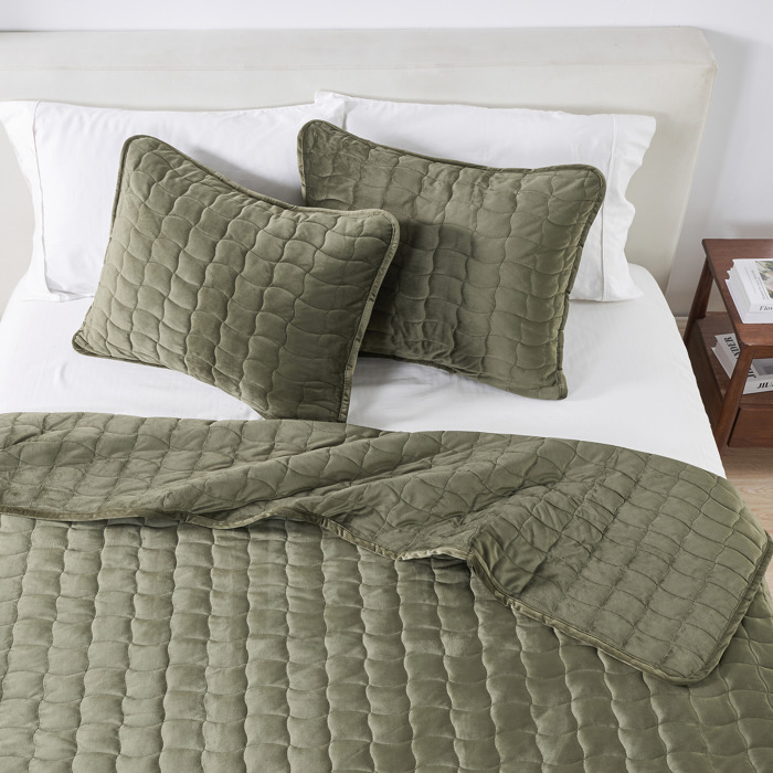 Stitched Velvet Quilt Set