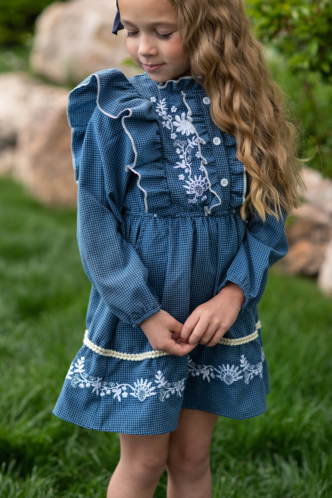 Blue Embroidered Dress