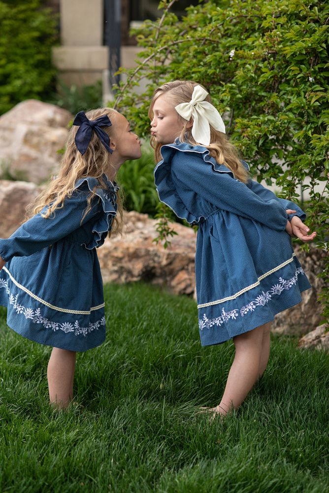 Blue Embroidered Dress