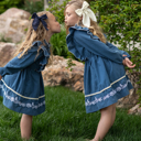  Blue Embroidered Dress