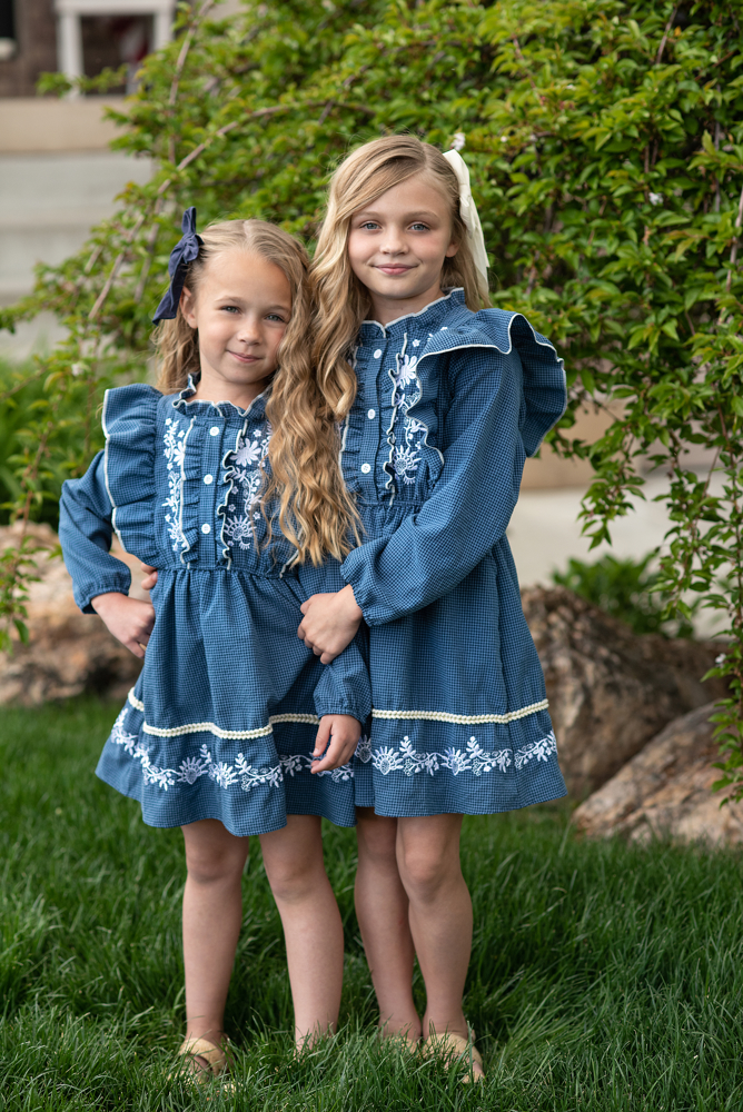 Blue Embroidered Dress