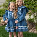  Blue Embroidered Dress