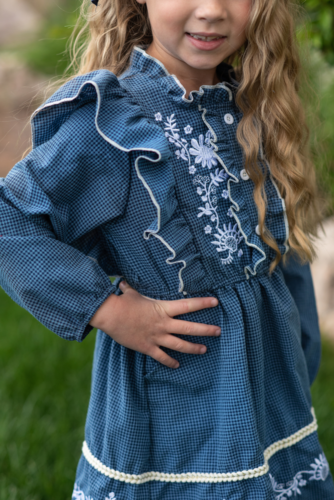 Blue Embroidered Dress