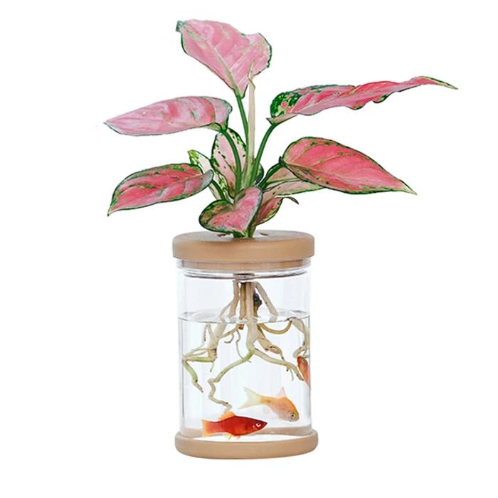 Mini Hydroponic Flower Pot