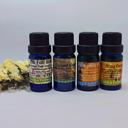  Fall Essential Oil Blends for Your Diffuser