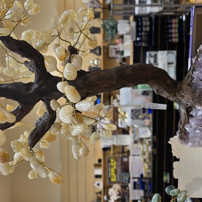 Citrine Crystal Tree  18" Tall