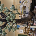  Jade Crystal Tree  18" Tall